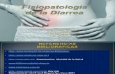 Fisiopatologia Diarrea