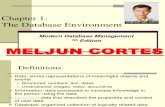 MELJUN CORTES Database Environment
