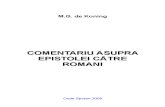 Comentariu Romani