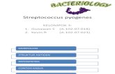 Streptococcus Pyogenesppt