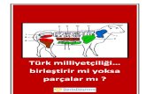Turk Milliyetciligi