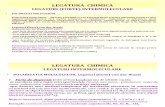 LEGATURA  CHIMICA LEGATURI (FORTE) INTERMOLECULARE