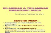 _Bilaminar & Trilaminar Discs