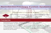 2012-01-08 Usama Imtiaz 5312FG02-2 Nanobiotechnology Presentation
