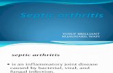Septica Arthritis