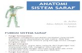 Anatomi Sistem Saraf-dr Arifin Arga Hus