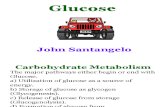 Glucose John Santangelo