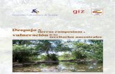 CCJ - Despojo de Tierras Campesinas y Vulneración de Territorios Ancestrales