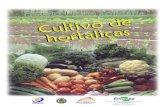 Projeto Horta Solidária - Cultivo de Hortaliças