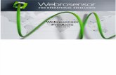 Acelerometro WBS