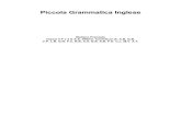Piccola Grammatica Inglese.pdf