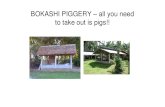Bokashi Piggery