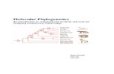 MAT500 Paper Phylogenetics