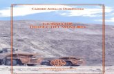 Curso de Derecho Minero-CARMEN ANSALDI