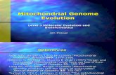 Mitochondrial Genome Evolution