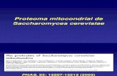 Proteoma Mitocondrial de saccharomyces cerevisiae