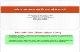 Bio105 Molekuler Biyoloji-Ders1