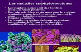 Les Maladies Staphylococciques