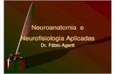 4 Neuroanatomia e Neurofisiologia Aplicada
