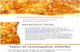 Seronegatice Arthritis