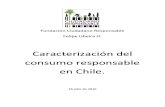 Caracterizaci n Del Consumo Resp on Sable en Chile.