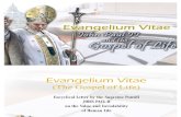 Evangelium_vitae the Dignity of Human Life