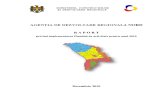 RAPORT anual privind implementarea Planului de activitate / ianuarie-decembrie 2010