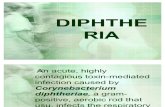 Akiya - Diphtheria