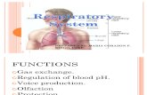 [Iap] 12 Respiratory System