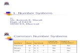 Lecturer1 Number System