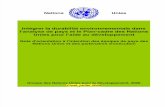 Intégrer la durabilité environnementale dans l’analyse de pays et le Plan-cadre des Nations Unies pour l’aide au développement - Note d'orientation (UNDG - 2009)