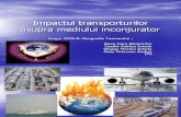 Impactul Transporturilor Asupra Mediului Inconjurator