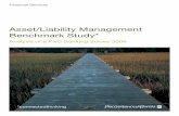 Asset Liability Benchmark Study 2006
