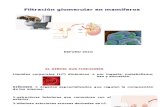 3 RENAL- Filtración glomerular
