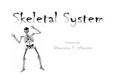 Chabby's Skeletal System