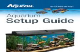 Fish Tank Startup Guide