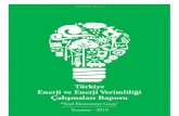 Türkiye Enerji ve Enerji Verimliliği Çalışmaları Raporu