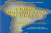 00225 - Crime Organizado No Brasil