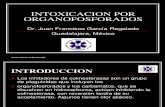 Intoxicaci%C3%B3n Por Organofosforados