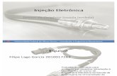 Sistema de Injeção Eletrônica(UFMG) - Sonda Lambda (sensor de oxigênio)