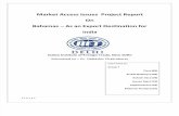 MAI Project Report
