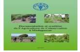 Documentation et synthèse de l'agriculture de conservation à Madagascar (FAO/2010)