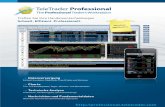 TeleTrader Professional Flyer (Deutsch)