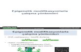 gelişim genetiği 30.05.2011 (Epigenetik modifikasyonlarla çalışma metodları)