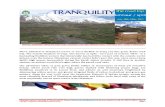 Tranquility Mailer