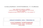 CLASE 6 COLUMNA VERTEBRAL Y TORAX (PPTshare)