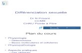 Différentiation sexuelle - Cours Maïeutique P1 2011 - UE11 de l'Université des Antilles et de la Guyane