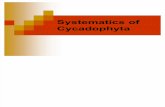 Systematics of Cycadophyta