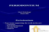 PERIODONTIUM (10) [EDocFind.com]