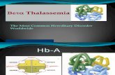 Thalassemia Presentation m2